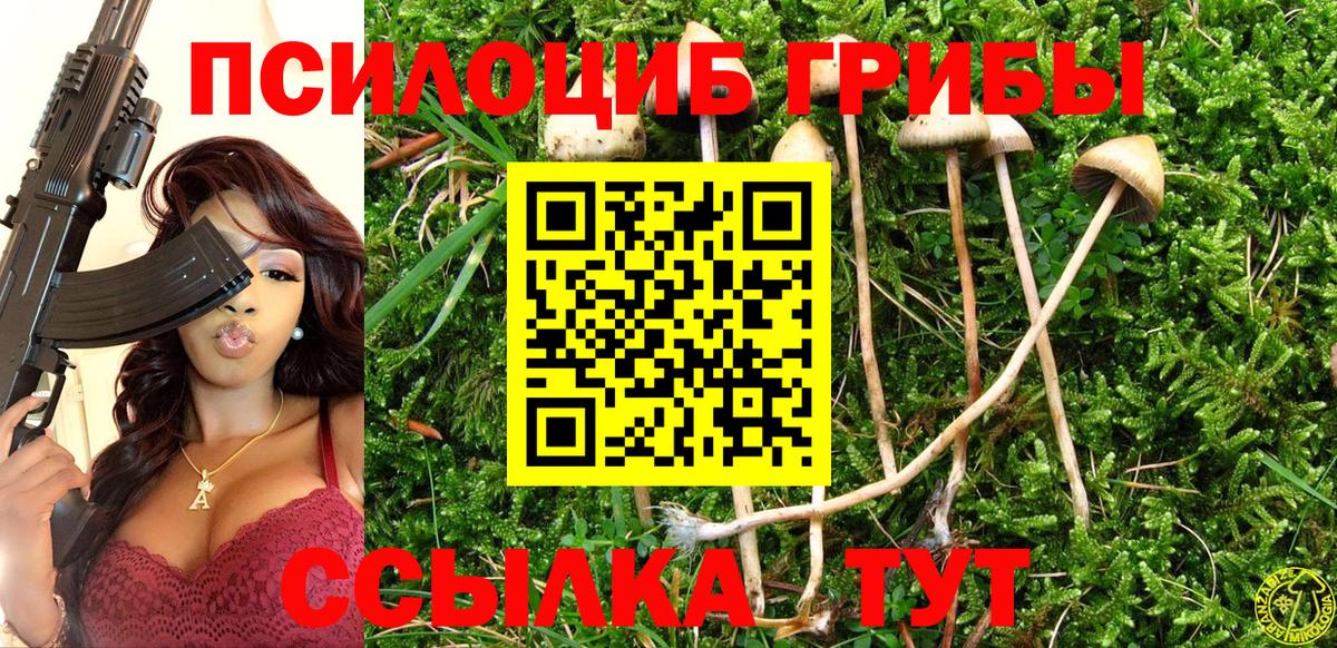 Галлюциногенные грибы мухоморы Мариинск